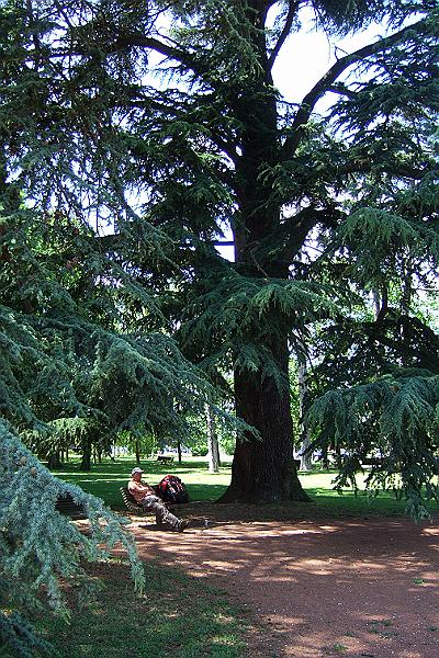 2010-06- (79).JPG - Fast am Ziel und geschafft von der Hitze: Park von Ouilly